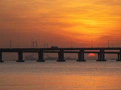 -宝安西湾红树林湿地公园