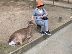 -奈良公园