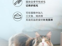 -轰雷舒适家·大金空调·地暖