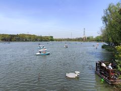 -昆山城市生态森林公园