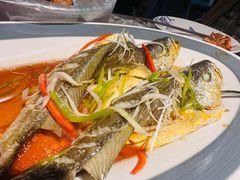 -前海沿·青岛菜(五四广场永旺店)