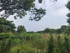 -动邦皮划艇·桨板·独木舟·团建户外运动俱乐部