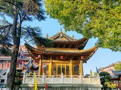 -上海东林寺(金山区)