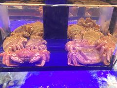 -蟹道乐(道顿堀本店)