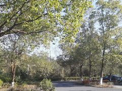 -敬亭山风景名胜区