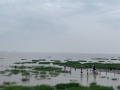 -奉贤海滩