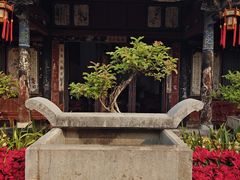 -朱家花园