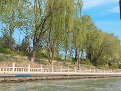 -皇家御河游(紫御湾码头)