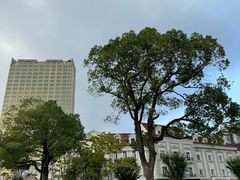 -风波庄(罍街分舵)