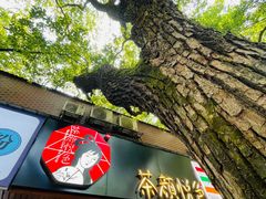 -茶颜悦色(登高路上店)