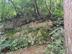 -冶父山国家森林公园