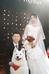 -B.Bridge Couture婚纱礼服(福田店)