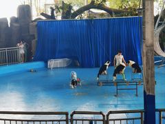 -泉州海丝野生动物世界