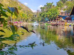 -西双版纳原始森林公园