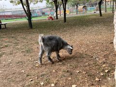 -北京鹿世界主题园