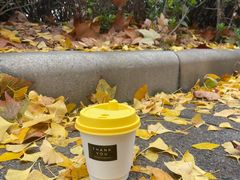 -隹木咖啡馆(宝龙广场店)