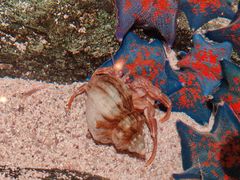 -沈阳海洋探索中心