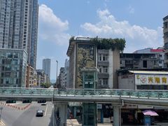-发财凉粉(公园中路店)