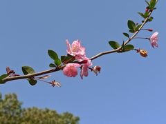 -黄兴公园