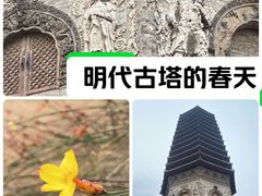 -玲珑塔公园