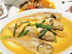 红烧小黄鱼-华盛丰温州大排档(东三环南路店)