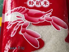 -大通湖