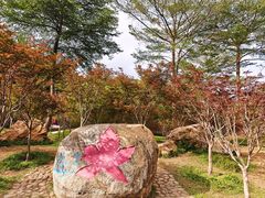 -广州市帽峰山景区