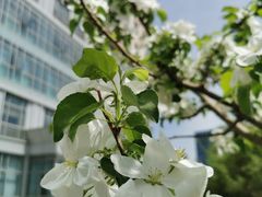 -中关村生命科学园