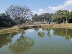 -福田红树林生态公园