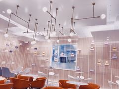 大堂-奈雪的茶(市百一店)