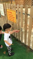 -萌宠亲子动物乐园(槐房万达店)