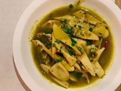 -看见远方·莫干遥远的山民宿