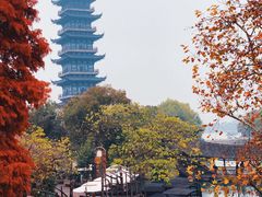 -乌镇西栅景区