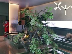 -潮上潮(南中环店)