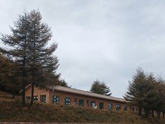 -红崖峡谷景区