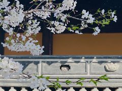 -龙华寺