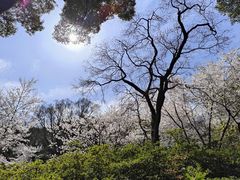 -苏州上方山国家森林公园