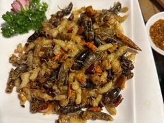 -昆虫窝子·特色云南菜(拓东路总店)
