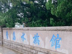 -青岛海底世界-水族馆