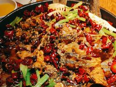 -老板恋上鱼(高新万达店)