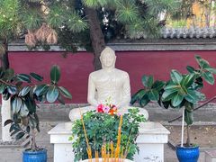 -护国法轮寺