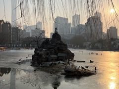 -团结湖公园