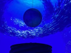 -上海海昌海洋公园
