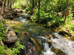 -玉渡山自然风景区
