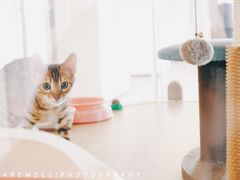 -Me Coffee下午茶艺术空间