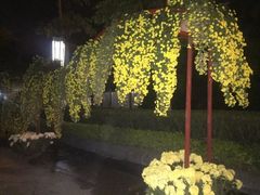 -五通灯塔公园