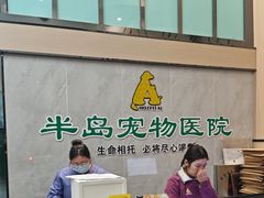 -半岛宠物医院24小时(科华中路店)