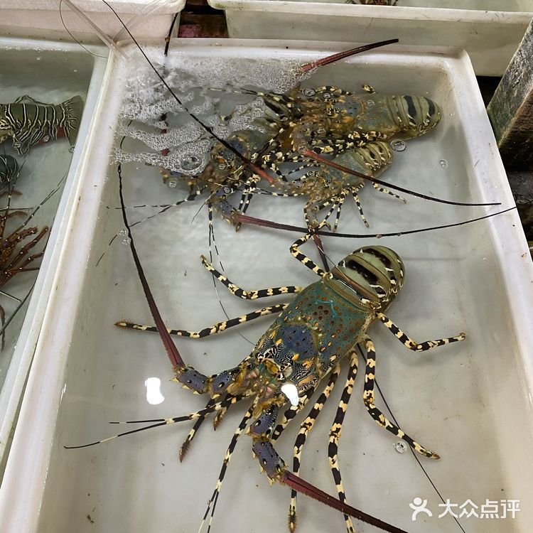 好像讲价到100，虽然不算便宜