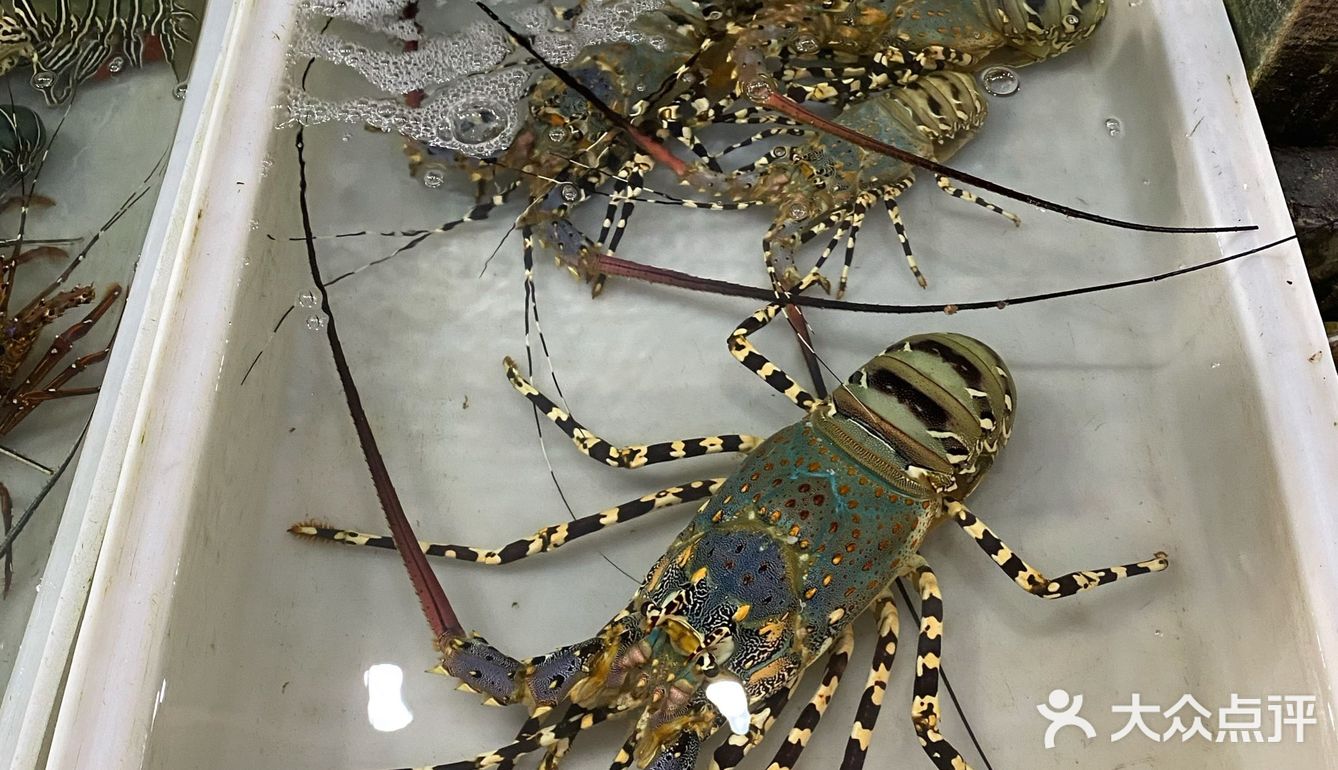 好像讲价到100，虽然不算便宜