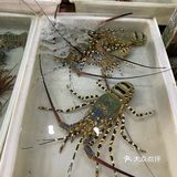 好像讲价到100，虽然不算便宜